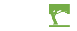 Canopy Landscapes Inc. | Landscaping Services for Mississauga, Brampton, Caledon, Oakville, Burlington, Milton, Georgetown, and the Greater Toronto Area